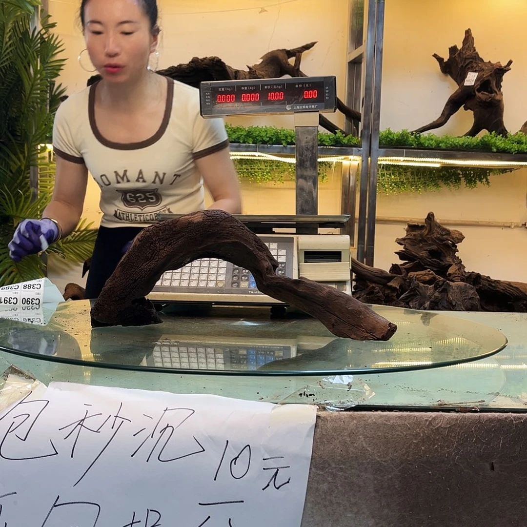 柚木恹*沉木鱼缸造景