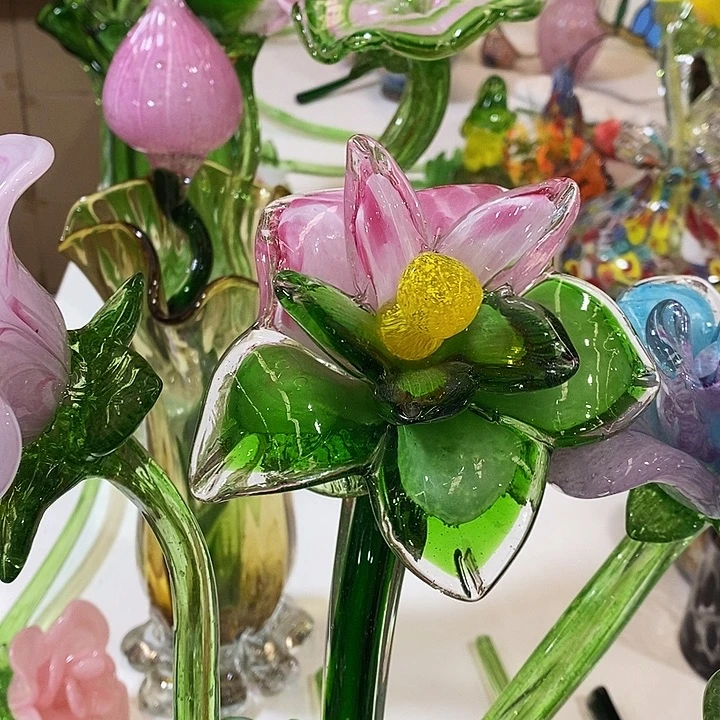 夜光花高45厘米左右