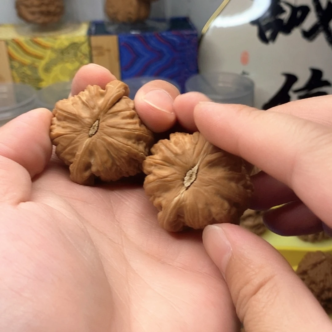 九***弟41白狮子全品无修