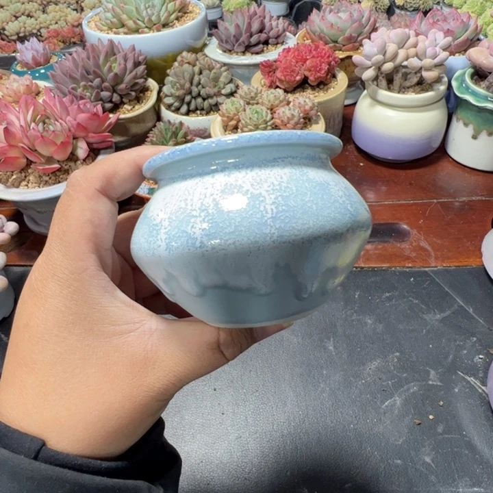 特价花盆满50发货内口6