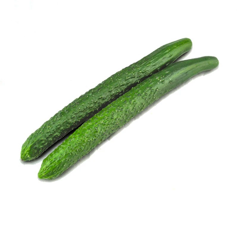 东升农场 有机刺青瓜400g 有机黄瓜 清脆多汁有机蔬菜次日达新鲜黄瓜同城送黄瓜同城配刺青瓜