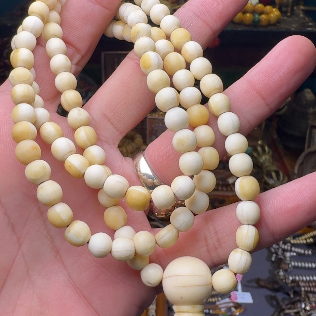 吊坠菩提根/象牙果