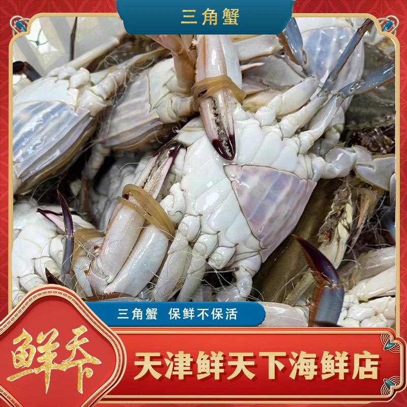 【保鲜不保活】精品大三角蟹 （单只3-4两 每斤2-4只） 掉爪