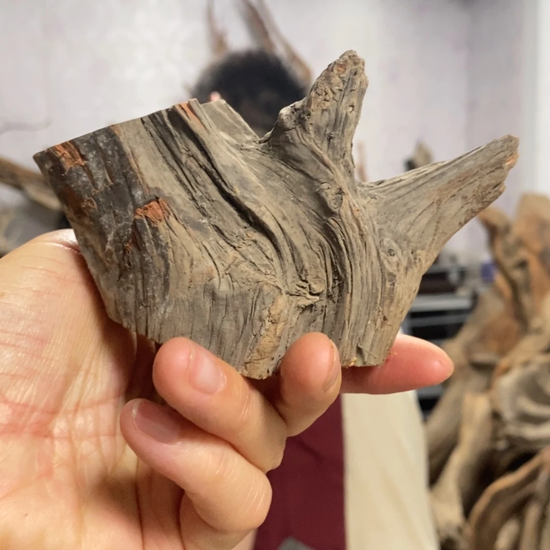 柏木小*仙我们都是好孩子