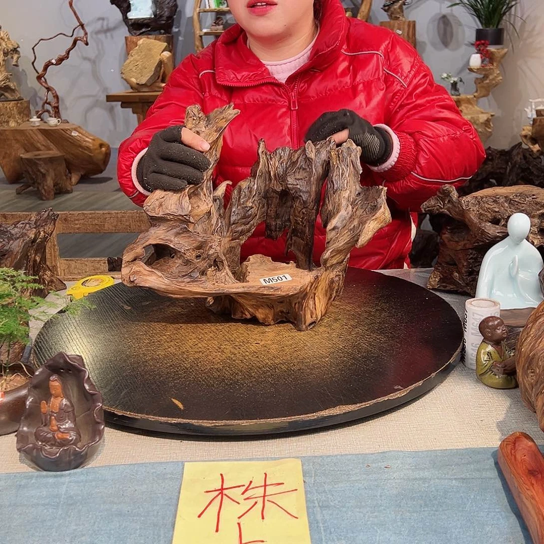 木亮501 hvhvhvhvhbhb