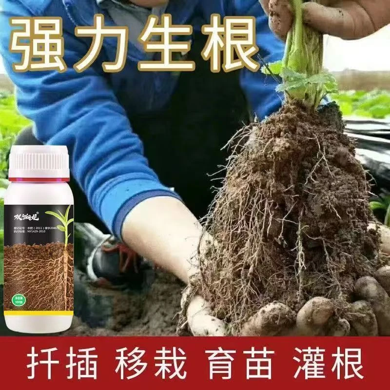 进口生根壮苗速效大树移植苗木扦插月季果树速效生根助生长水溶肥