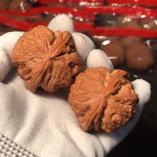 文玩核桃把件大粗筋44