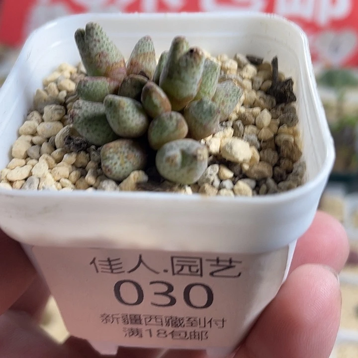 一***勾家人园艺博览会30