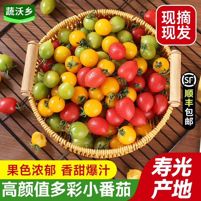 【顺丰包邮】多色混装小番茄圣女果酸甜多汁草莓番茄樱桃西红柿包邮