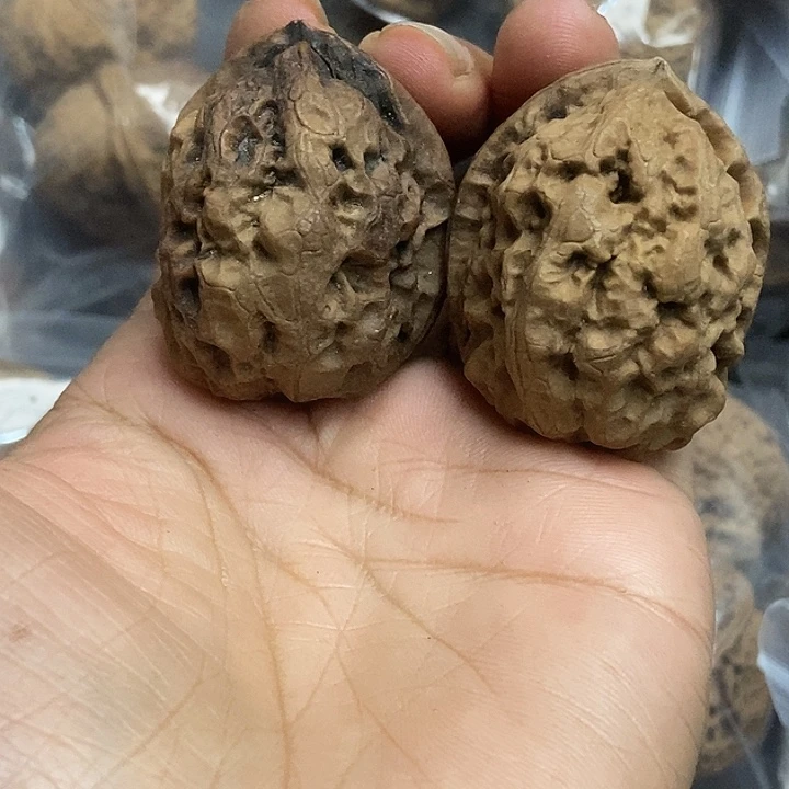 文玩核桃把件云南铁核桃基地3