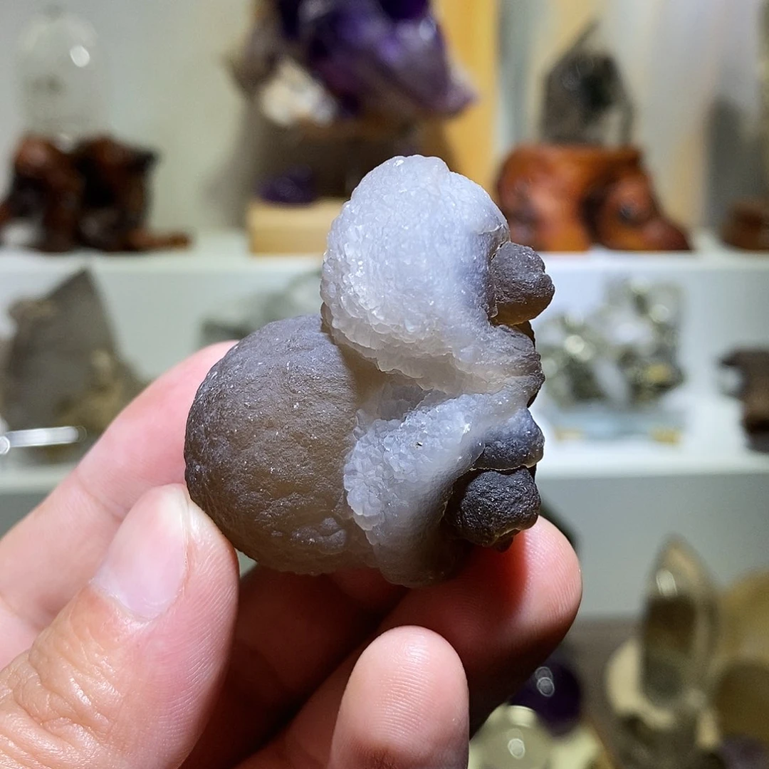 有机玻璃小绵羊玛瑙