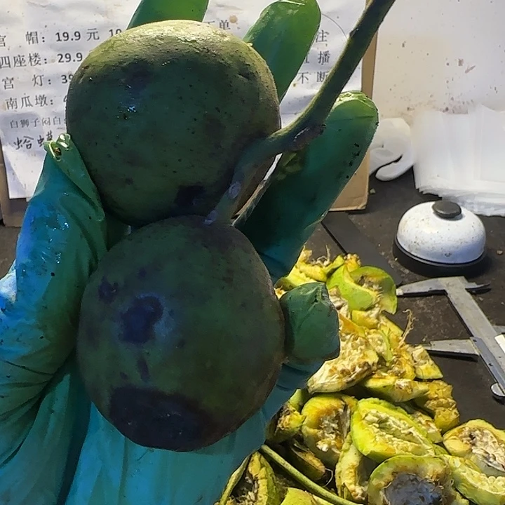 文玩核桃吊坠蛤蟆头小2颗