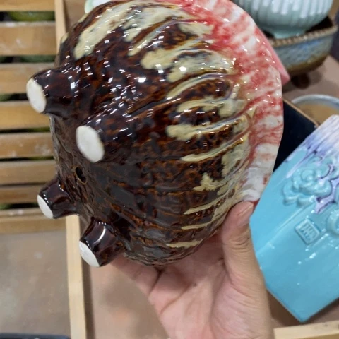 95297红色31313131131