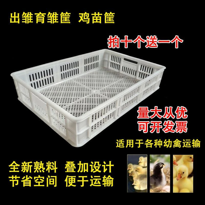 孵化机专用育雏出雏筐家禽幼雏周转筐加厚鸡苗筐鸭高中书籍收纳箱