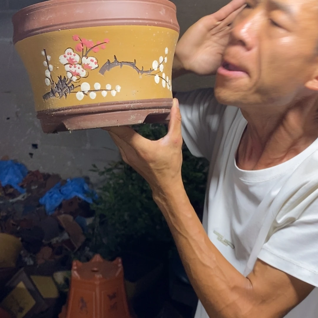 紫砂花盆紫砂紫砂紫砂紫砂