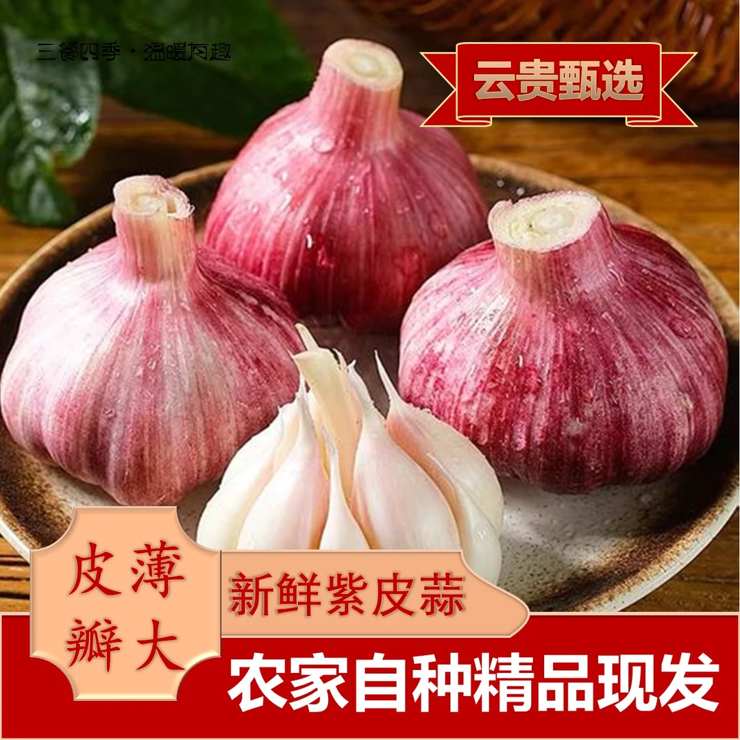 【紫皮鲜蒜】 云南农家新鲜紫皮瓣蒜现挖现发湿蒜大蒜饱满辛辣