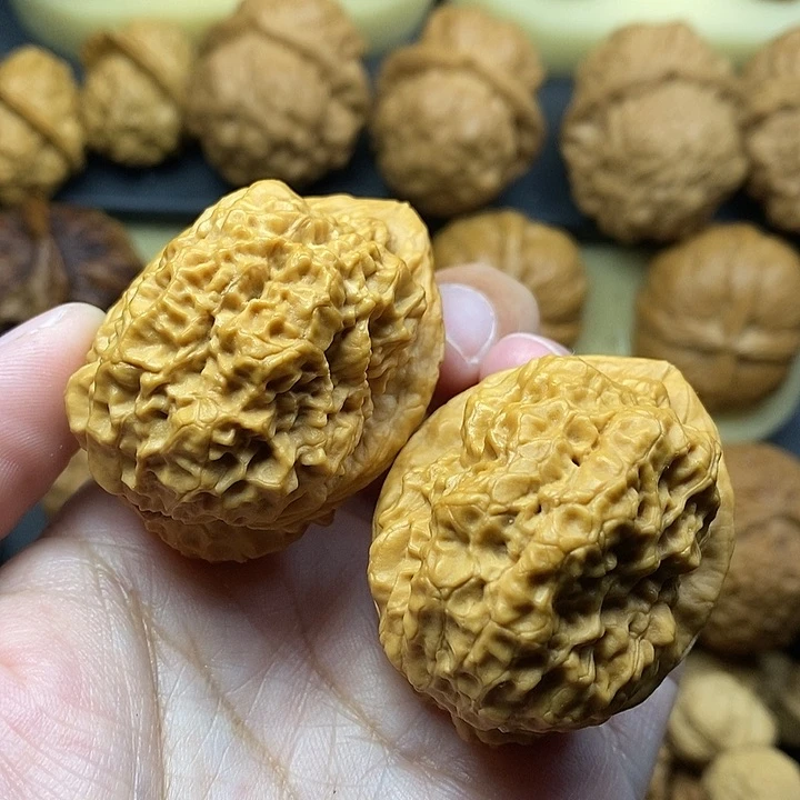 吊坠桃核古柏金蟾40尺