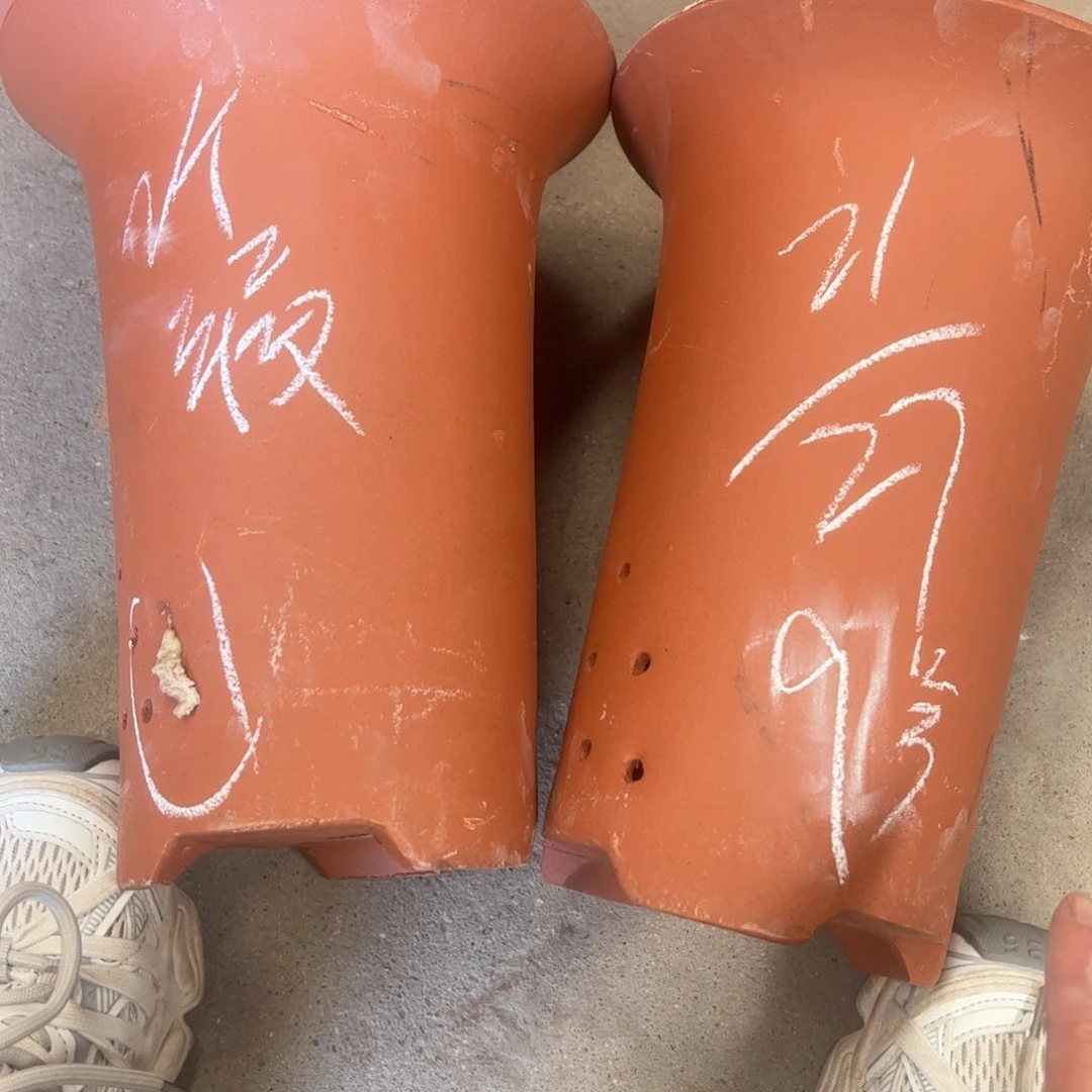 9号………………………………………………