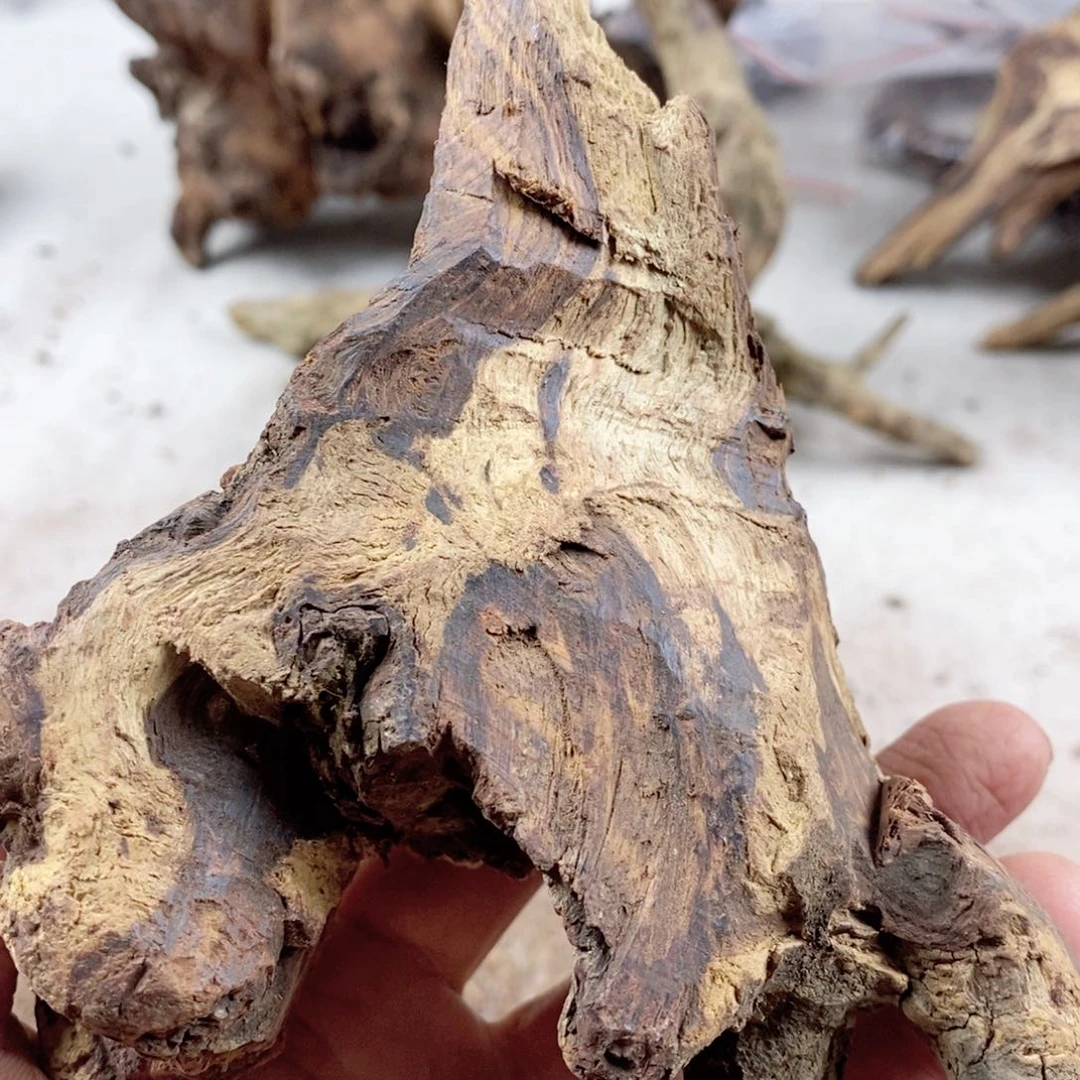 黄花梨/降香黄檀用****5