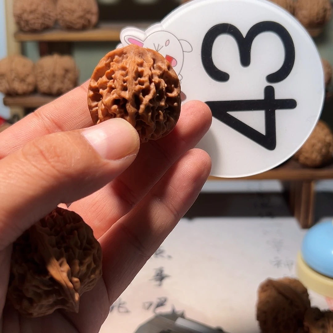 加**山文玩核桃，白色43号