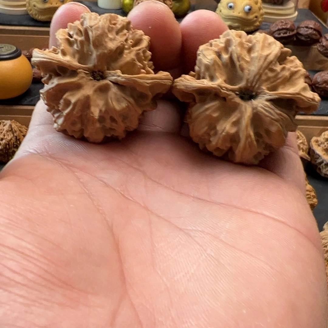 猴头核桃把件文玩核桃，苹果园