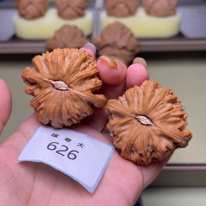 文玩核桃把件白狮子46.626