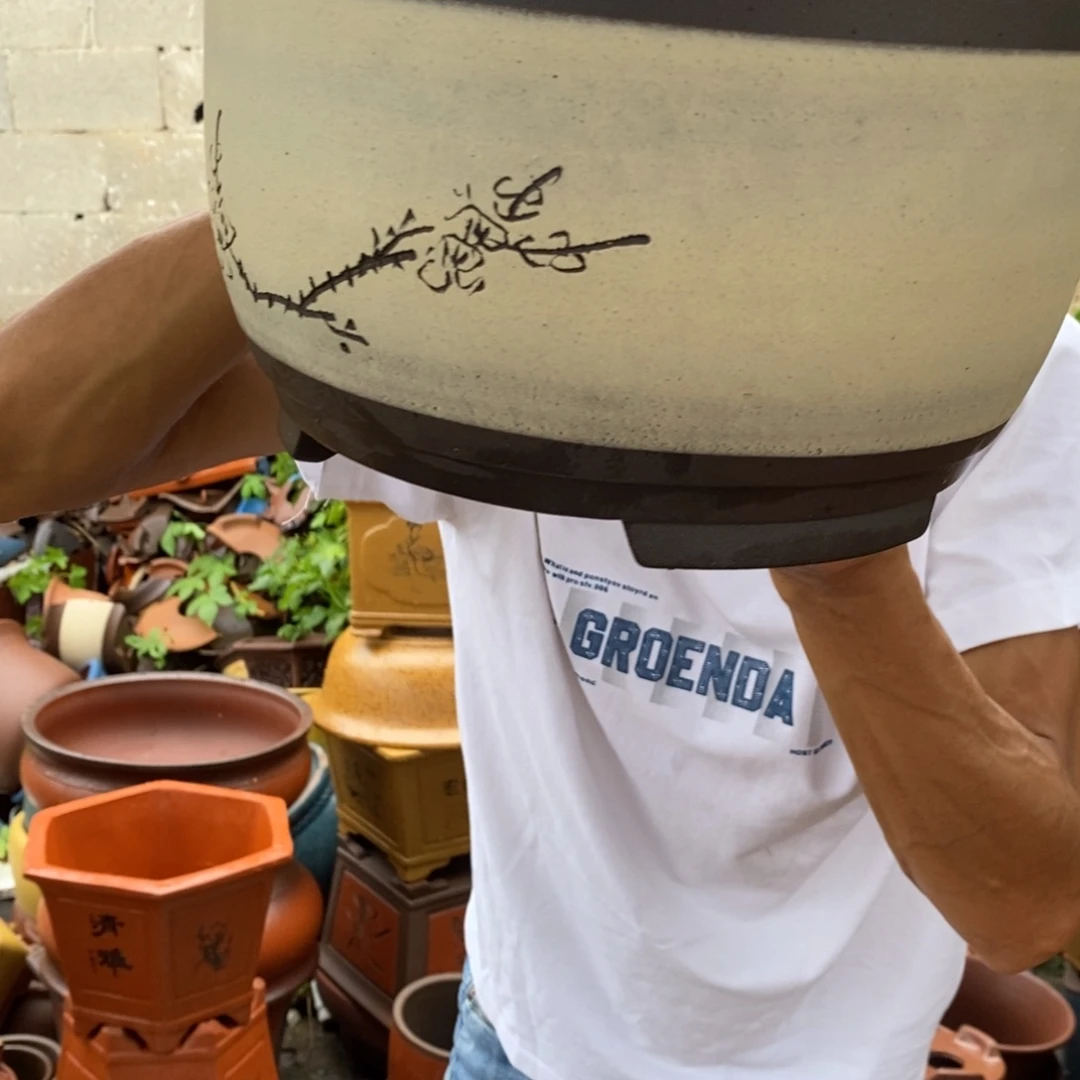 紫砂紫砂紫砂紫砂