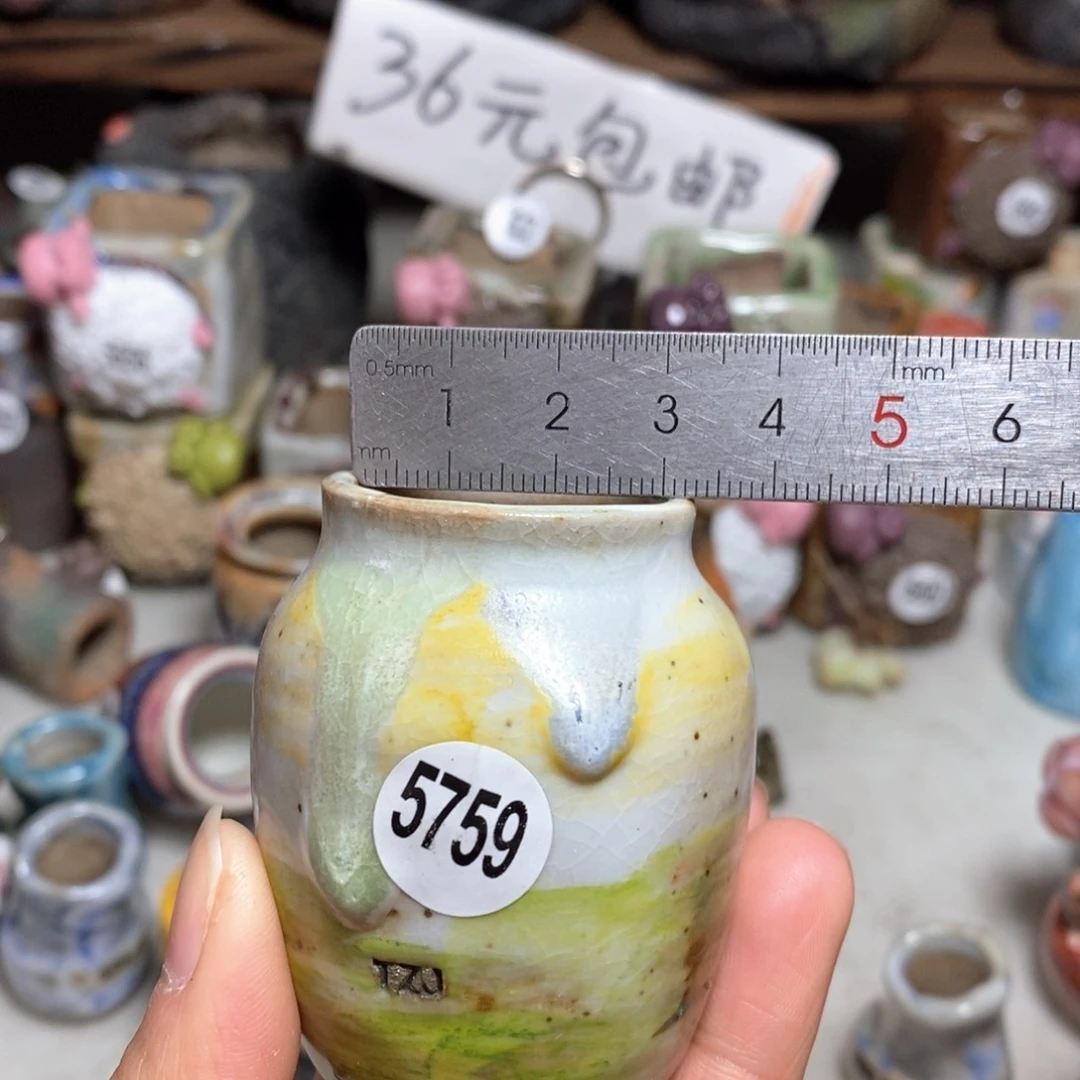 拍5送一个小礼物