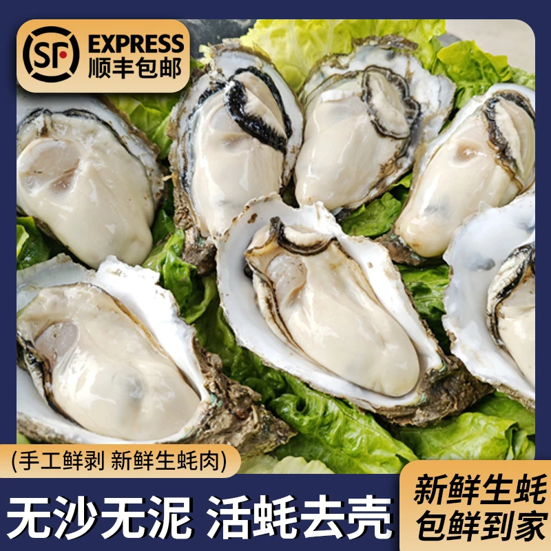 【5斤】特大号生蚝肉鲜活现剥鲜甜爽脆无渣不缩水6-8只/斤火锅蚝肉