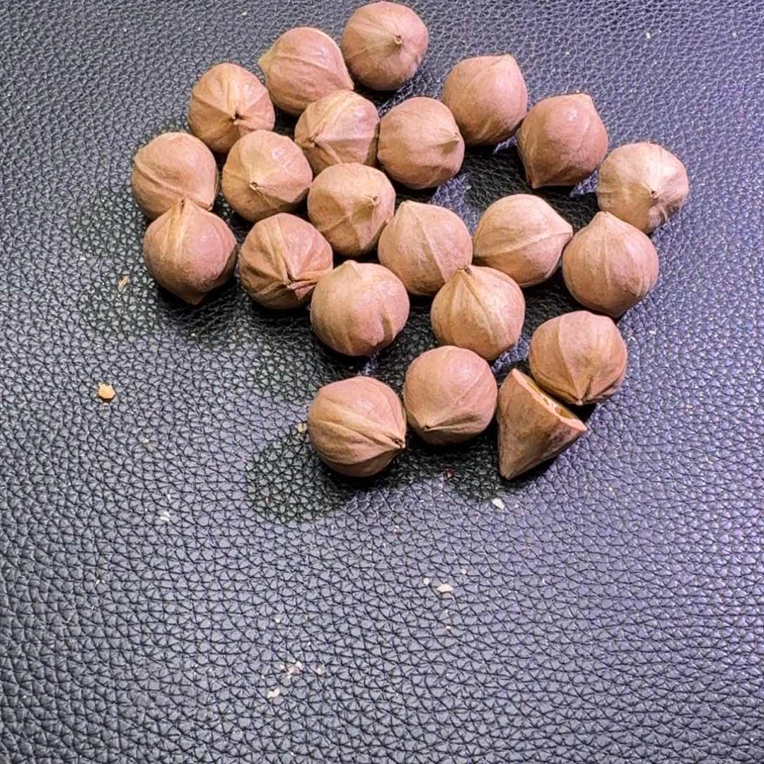 婉***良手串/手链橄榄核1