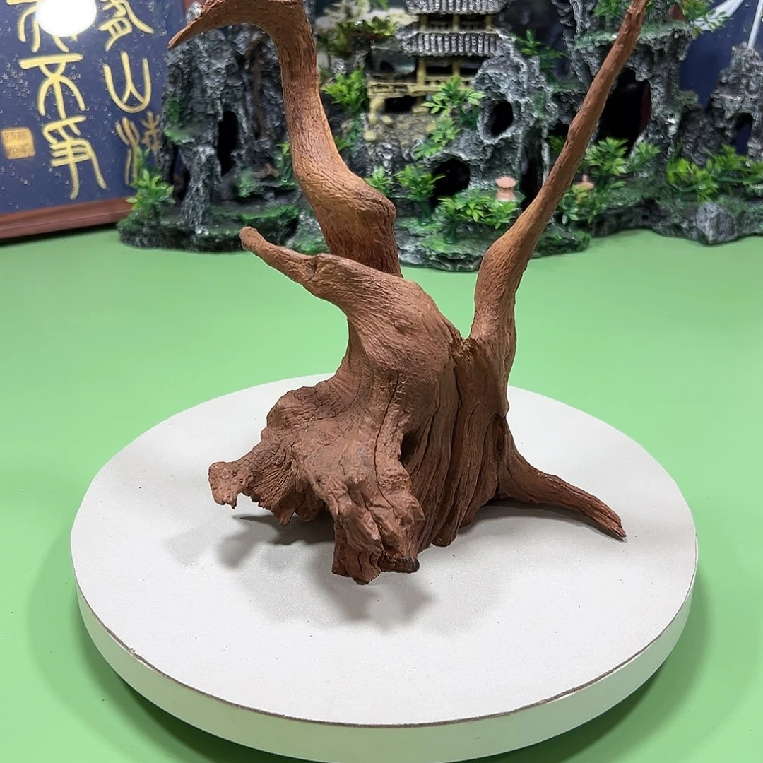 万***宽大果紫檀（缅甸花梨）