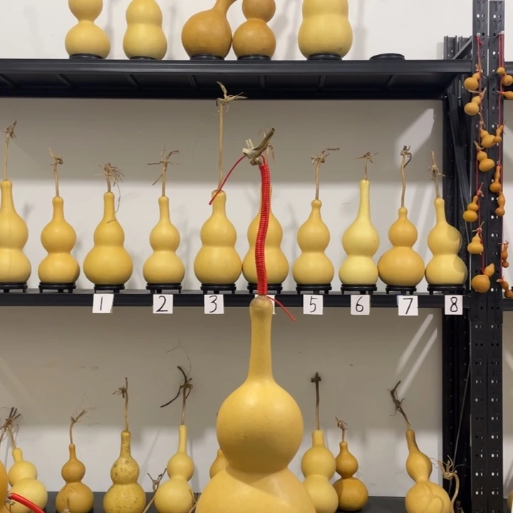 靠****长嘴46肚厚皮葫芦