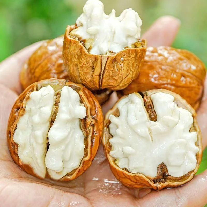 太行山新鲜去青皮湿核桃脆嫩香甜孕妇零食ww