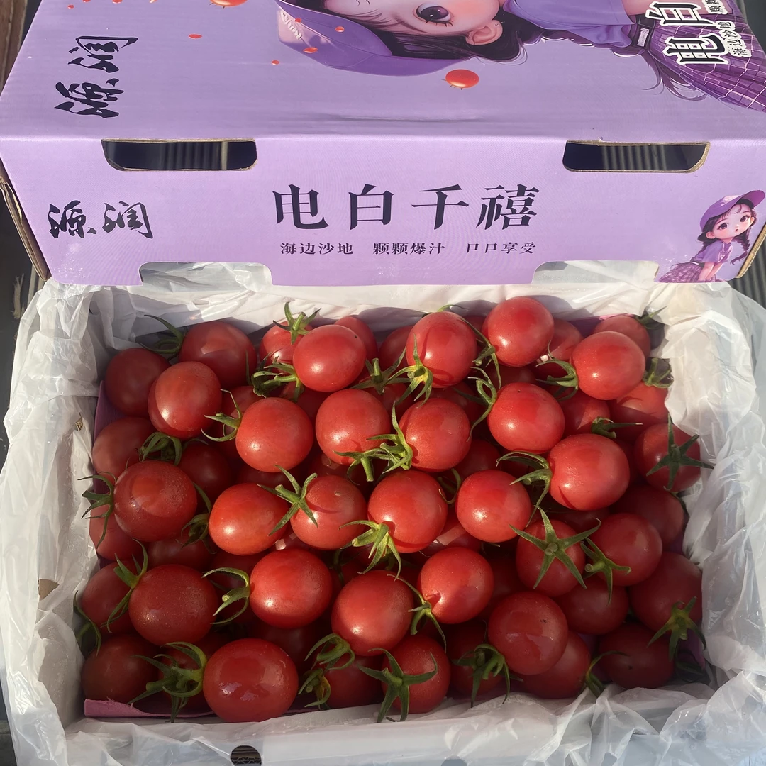 正宗电白千禧圣女果小番茄 脆甜多汁 风味浓郁2斤盒装