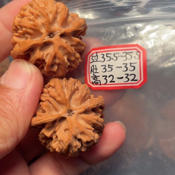 冬***阳把件桃核苹果园狮子头