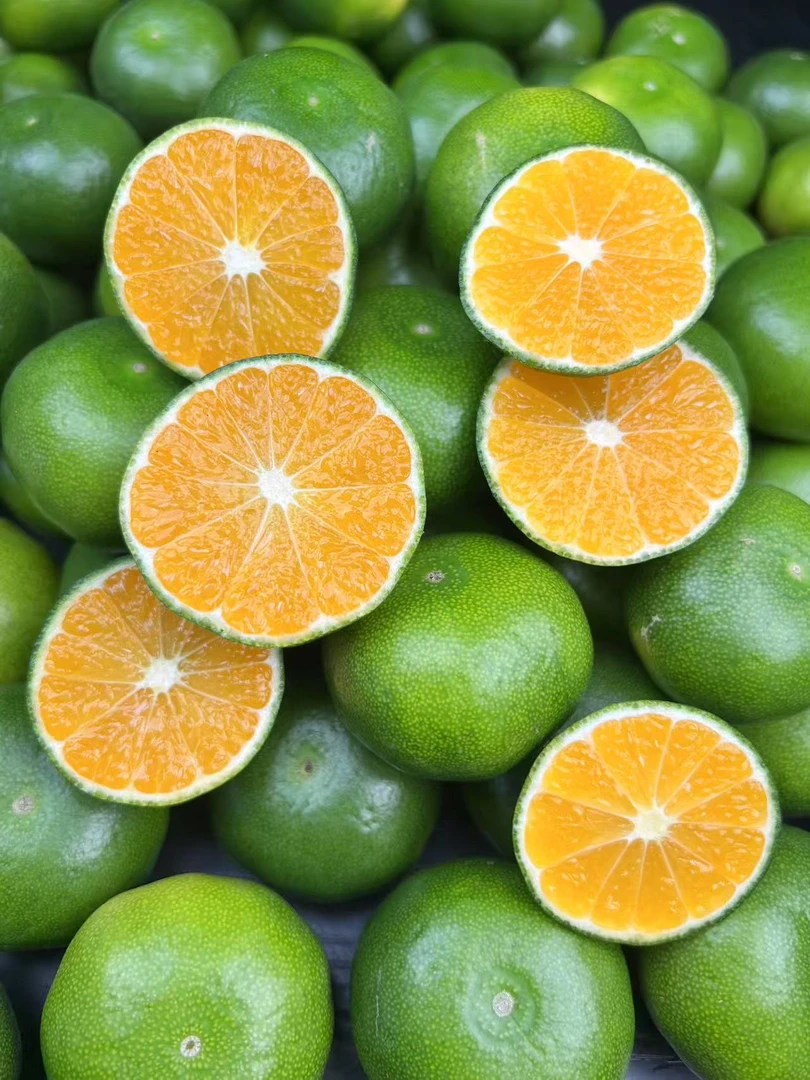 云南青皮无籽蜜桔皮薄多汁小小拇指橘新鲜应季鲜果橘子蜜桔