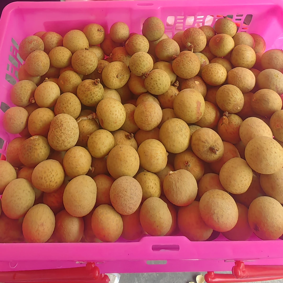 遇见阳光泰国进口龙眼毛重5.2净重5斤汁水纯甜核小出肉率高新鲜带枝个大金标热带水果