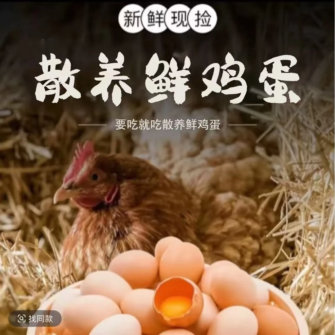 买30枚送20枚【50枚]散养鸡蛋新鲜营养健康每日农村甄选鲜蛋