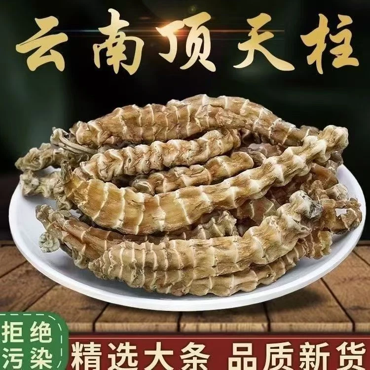 虫草参 正宗云南虫草参丁天柱新华虫草参农产品顶天住