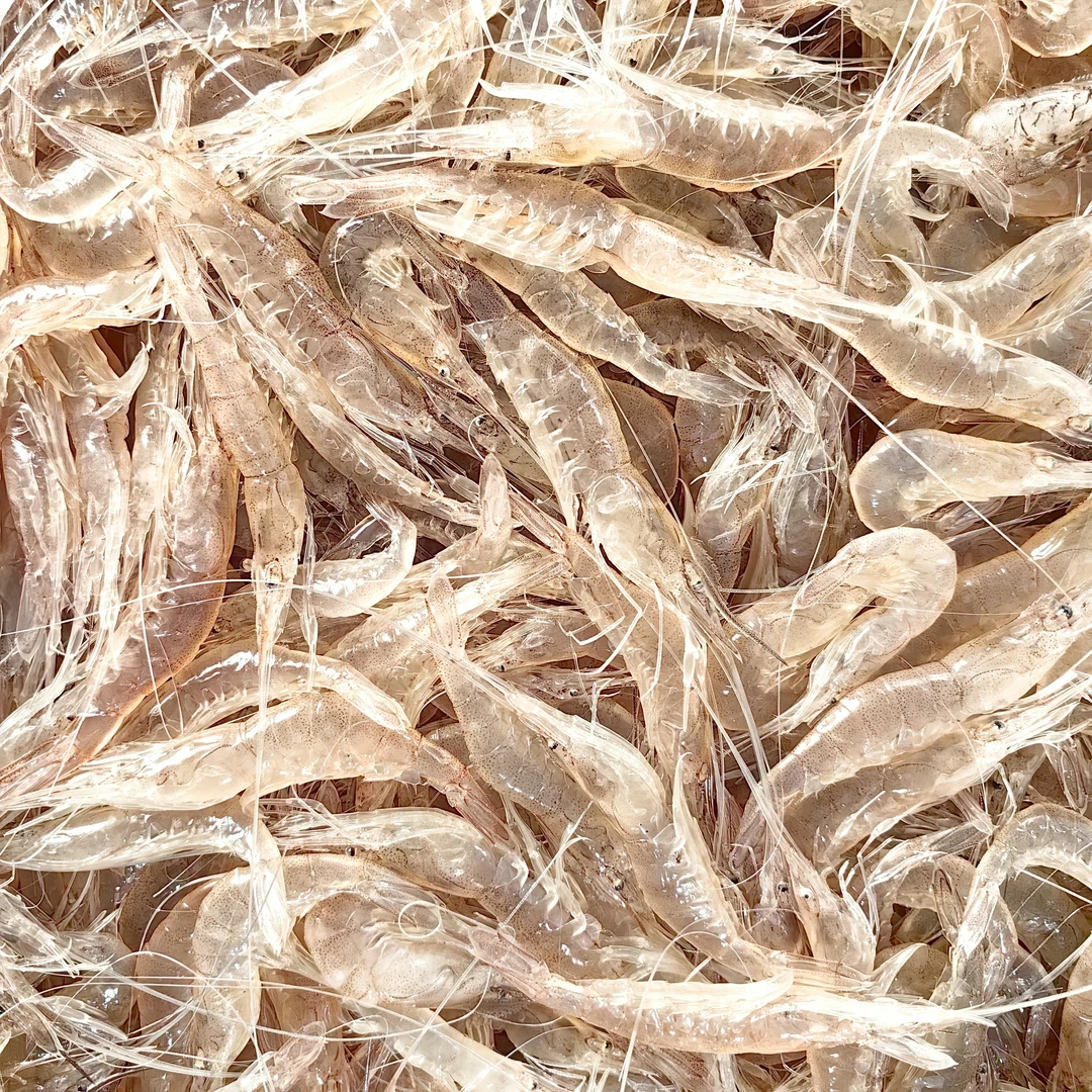 当季海捕鲜活小海虾白虾肉质鲜嫩3斤顺丰包邮