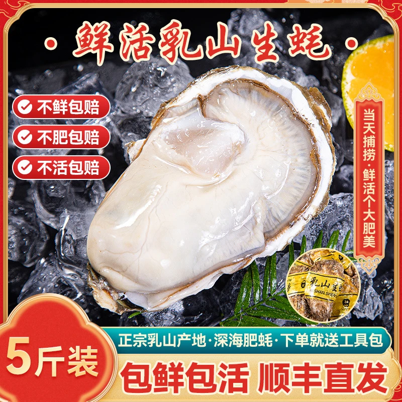 5XL/6XL/7XL【买5斤送5斤】正宗乳山生蚝原产地新鲜蒸特精品海蛎子烤2XL