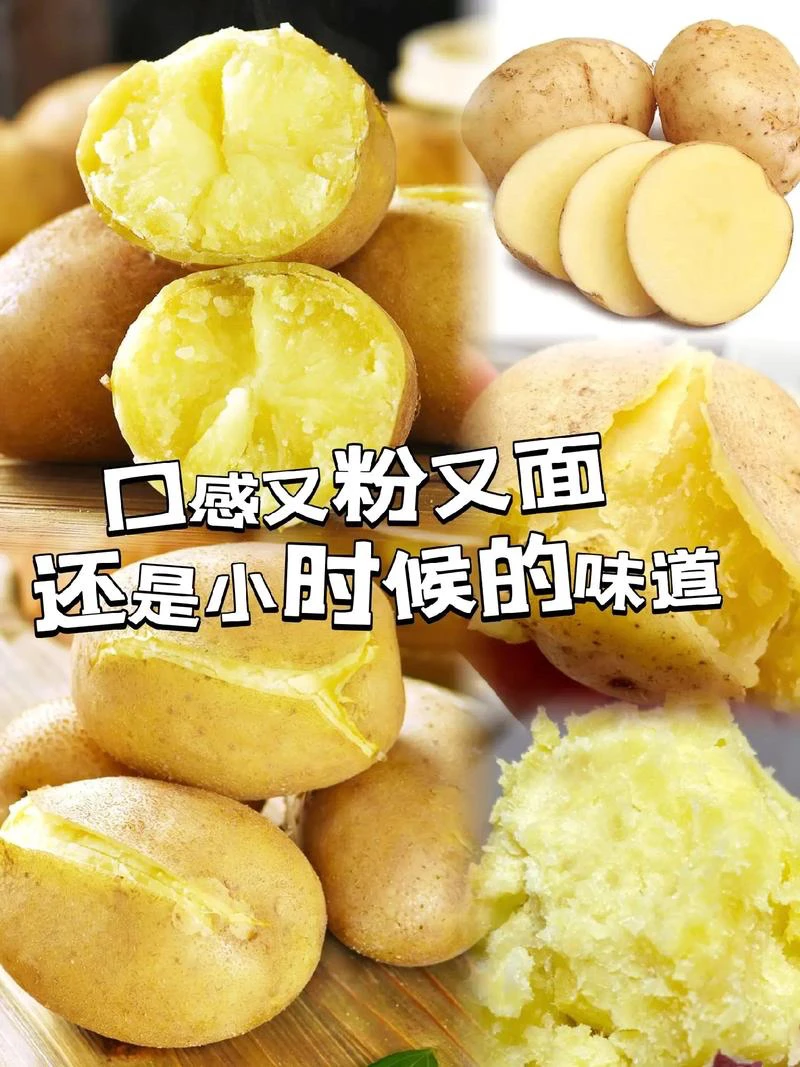 云南镇雄新米拉洋芋老品种黄心土豆高山洋芋新鲜应季蔬菜