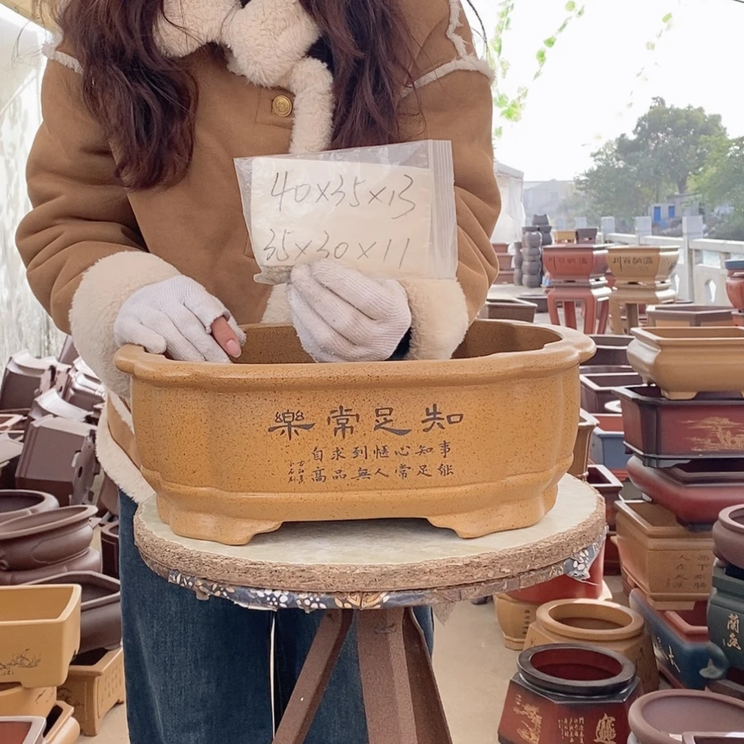 紫砂花盆紫砂花盆