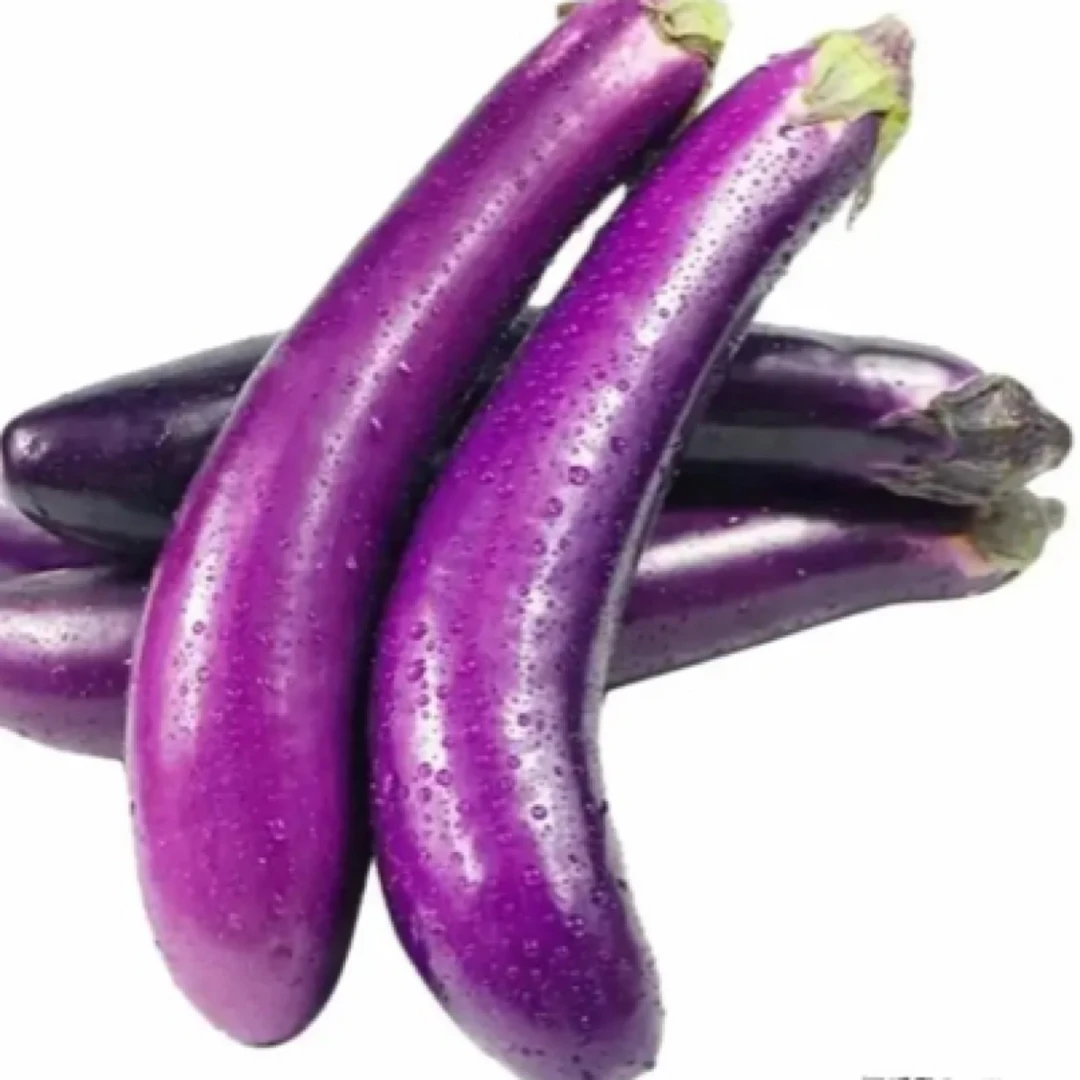 本地新鲜茄子250g-500g茄子同城送茄子