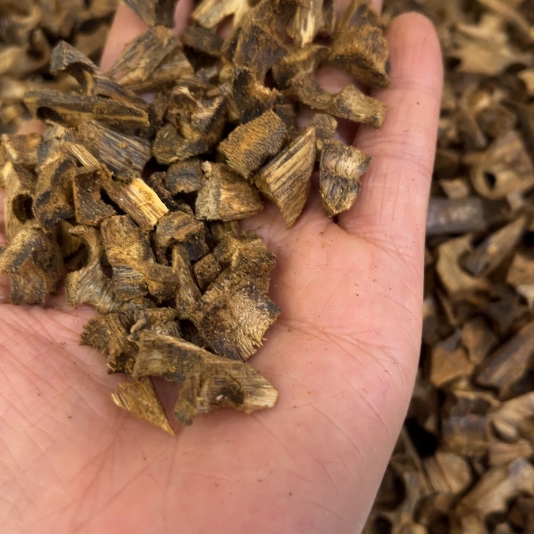 康***子沉香摆件沉香棋楠碎料250