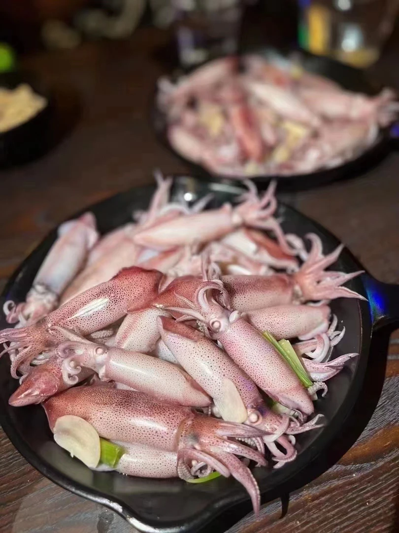 南澳岛灯照海兔小鱿鱼活冻品质刺身级别