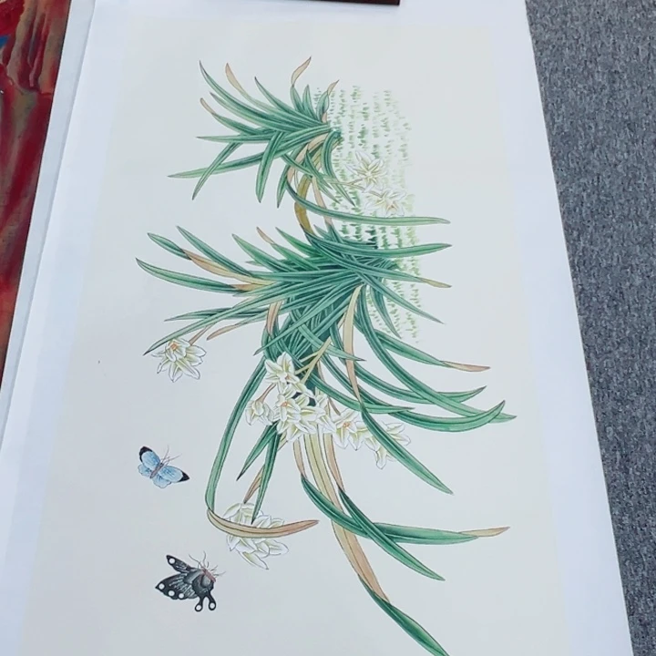 手绘作品你买过的直播间
