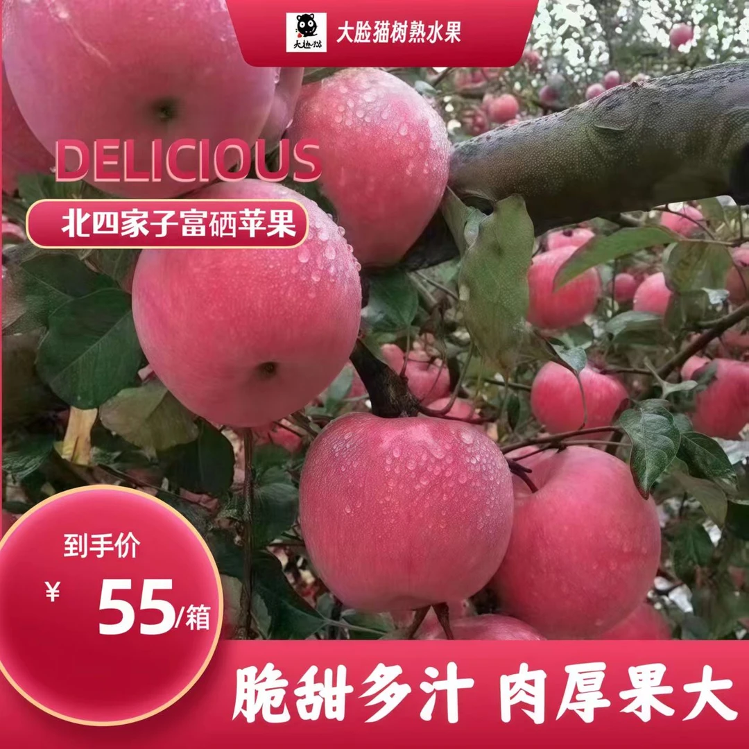 【富硒苹果】北四家子红富士苹果脆甜多汁自然果香产地直发新鲜水果