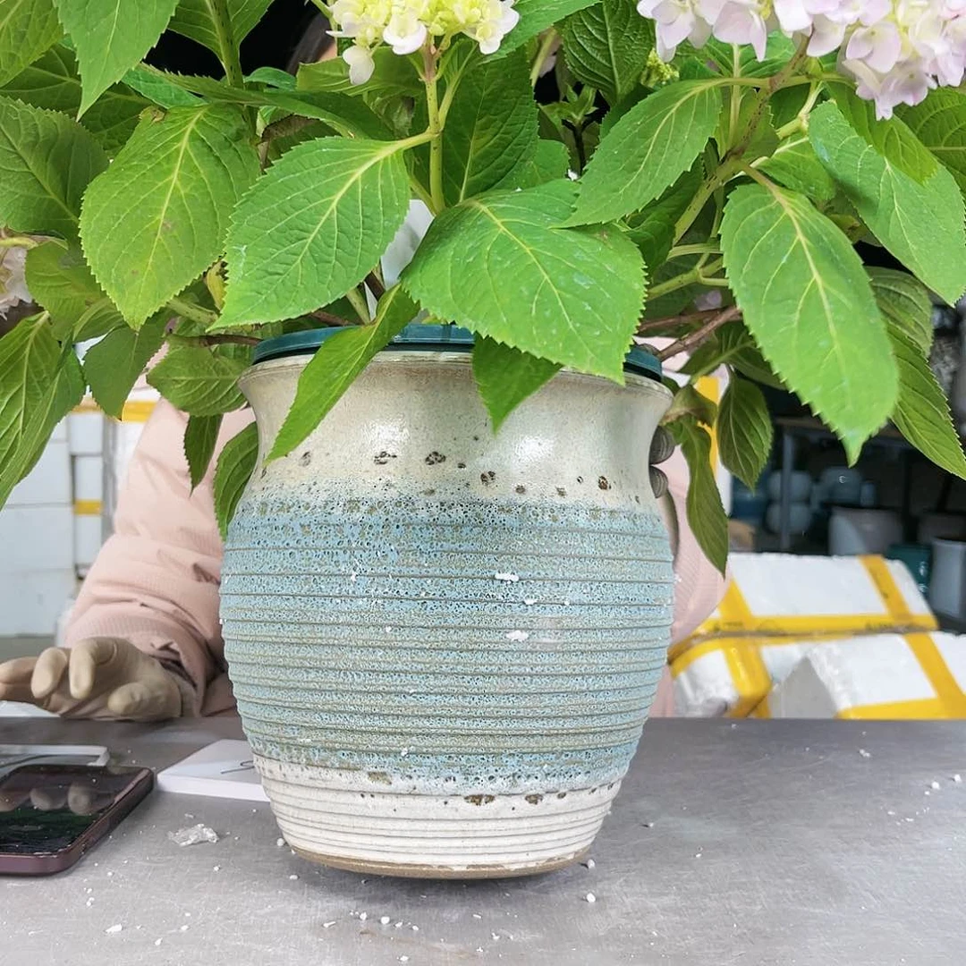 紫砂花盆王嫂花盆0329-五大蓝泡