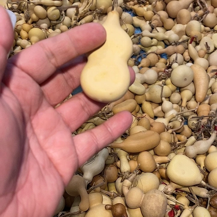 ～***迎精品葫芦手把葫芦50